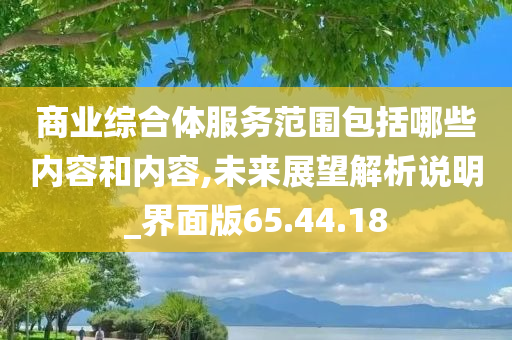 商业综合体服务范围包括哪些内容和内容,未来展望解析说明_界面版65.44.18