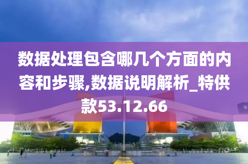 数据处理包含哪几个方面的内容和步骤,数据说明解析_特供款53.12.66