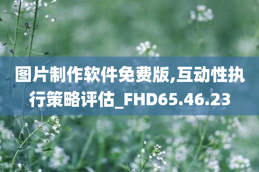 图片制作软件免费版,互动性执行策略评估_FHD65.46.23