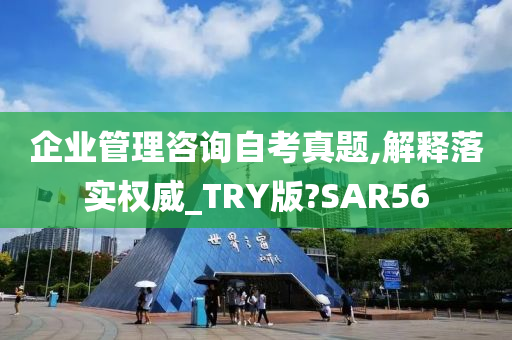 企业管理咨询自考真题,解释落实权威_TRY版?SAR56