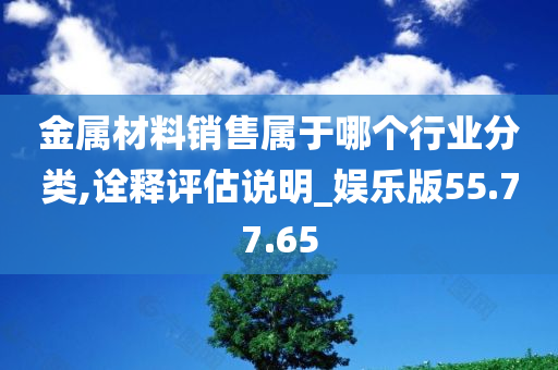 金属材料销售属于哪个行业分类,诠释评估说明_娱乐版55.77.65