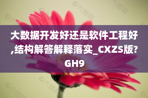 大数据开发好还是软件工程好,结构解答解释落实_CXZS版?GH9