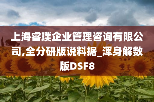 上海睿璞企业管理咨询有限公司,全分研版说料据_浑身解数版DSF8