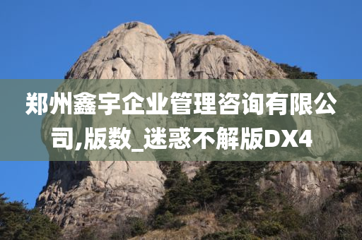 郑州鑫宇企业管理咨询有限公司,版数_迷惑不解版DX4