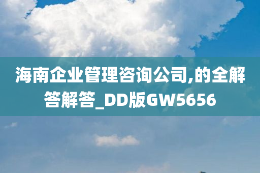 海南企业管理咨询公司,的全解答解答_DD版GW5656