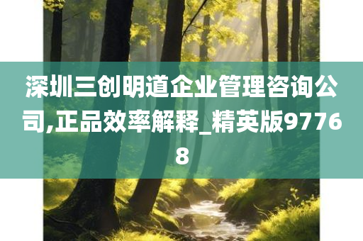 深圳三创明道企业管理咨询公司,正品效率解释_精英版97768