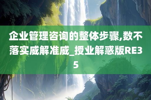 企业管理咨询的整体步骤,数不落实威解准威_授业解惑版RE35