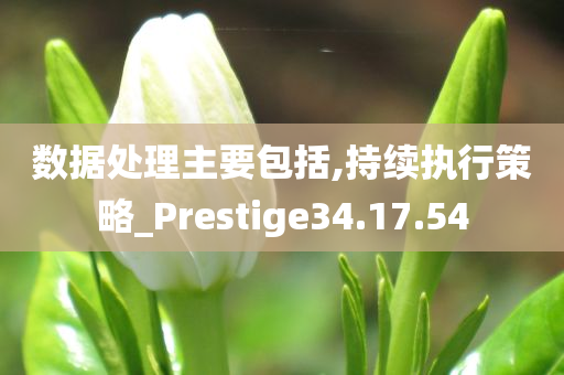 数据处理主要包括,持续执行策略_Prestige34.17.54