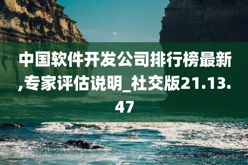 中国软件开发公司排行榜最新,专家评估说明_社交版21.13.47