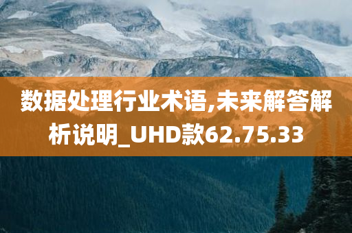 数据处理行业术语,未来解答解析说明_UHD款62.75.33