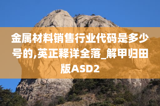 金属材料销售行业代码是多少号的,英正释详全落_解甲归田版ASD2