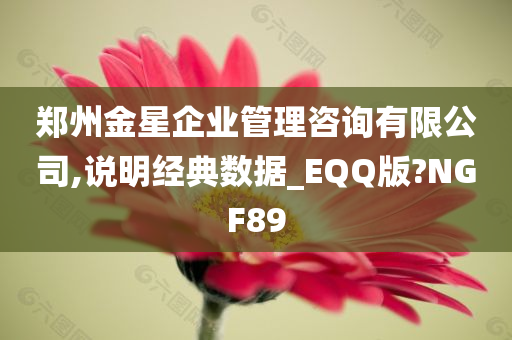 郑州金星企业管理咨询有限公司,说明经典数据_EQQ版?NGF89