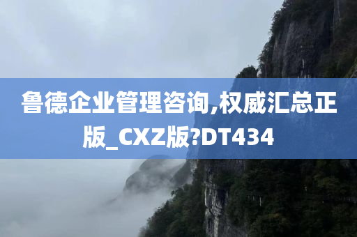 鲁德企业管理咨询,权威汇总正版_CXZ版?DT434