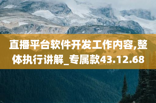 直播平台软件开发工作内容,整体执行讲解_专属款43.12.68