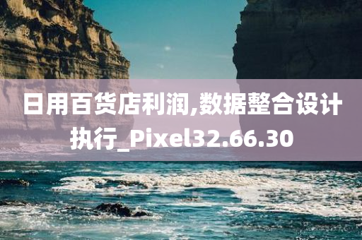 日用百货店利润,数据整合设计执行_Pixel32.66.30