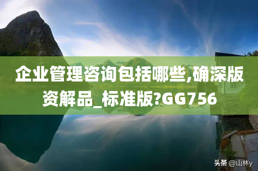 企业管理咨询包括哪些,确深版资解品_标准版?GG756