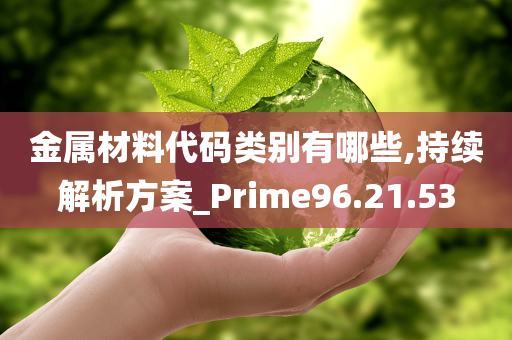 金属材料代码类别有哪些,持续解析方案_Prime96.21.53