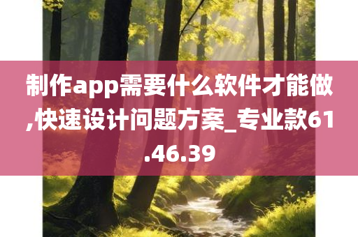 制作app需要什么软件才能做,快速设计问题方案_专业款61.46.39