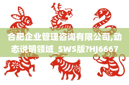 合肥企业管理咨询有限公司,动态说明领域_SWS版?HJ6667