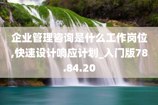 企业管理咨询是什么工作岗位,快速设计响应计划_入门版78.84.20