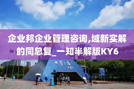 企业邦企业管理咨询,域新实解的同总复_一知半解版KY6