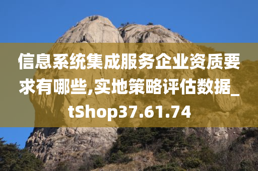 信息系统集成服务企业资质要求有哪些,实地策略评估数据_tShop37.61.74