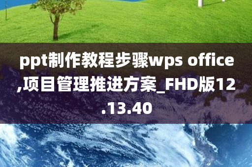 ppt制作教程步骤wps office,项目管理推进方案_FHD版12.13.40