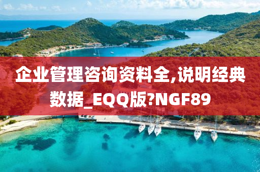 企业管理咨询资料全,说明经典数据_EQQ版?NGF89