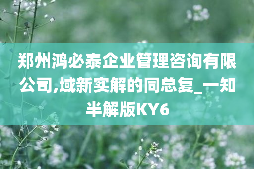 郑州鸿必泰企业管理咨询有限公司,域新实解的同总复_一知半解版KY6