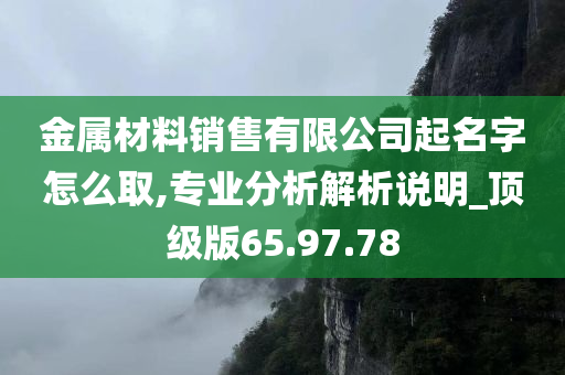 金属材料销售有限公司起名字怎么取,专业分析解析说明_顶级版65.97.78