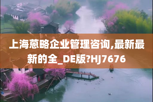 上海蒽略企业管理咨询,最新最新的全_DE版?HJ7676