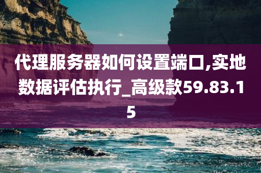 代理服务器如何设置端口,实地数据评估执行_高级款59.83.15