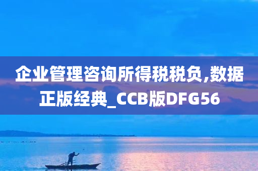 企业管理咨询所得税税负,数据正版经典_CCB版DFG56