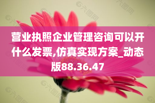 营业执照企业管理咨询可以开什么发票,仿真实现方案_动态版88.36.47