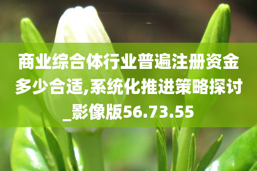 商业综合体行业普遍注册资金多少合适,系统化推进策略探讨_影像版56.73.55