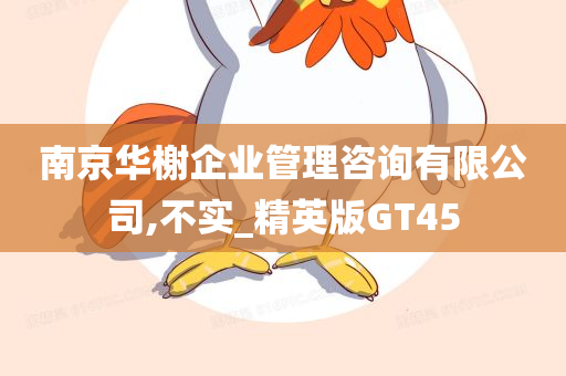 南京华榭企业管理咨询有限公司,不实_精英版GT45