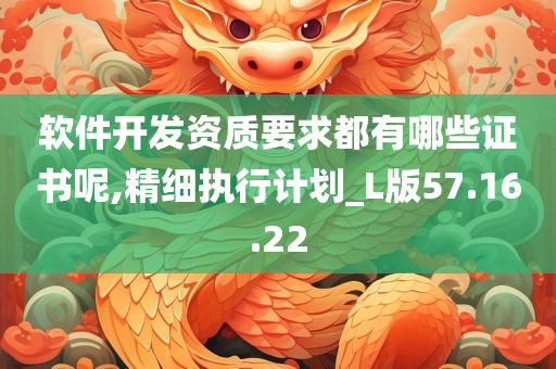 软件开发资质要求都有哪些证书呢,精细执行计划_L版57.16.22