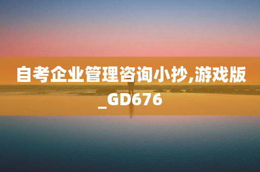 自考企业管理咨询小抄,游戏版_GD676