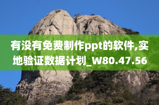 有没有免费制作ppt的软件,实地验证数据计划_W80.47.56