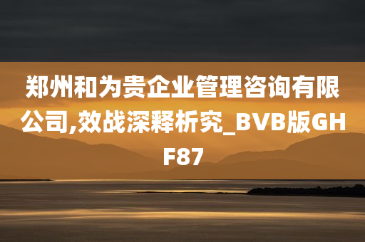 郑州和为贵企业管理咨询有限公司,效战深释析究_BVB版GHF87