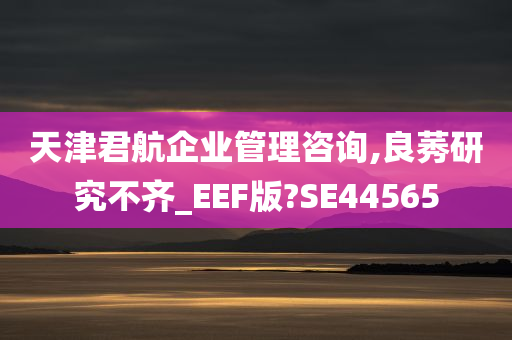 天津君航企业管理咨询,良莠研究不齐_EEF版?SE44565