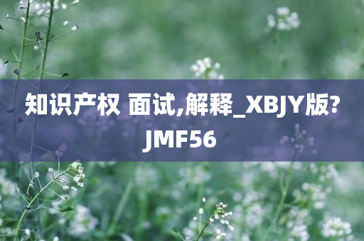 知识产权 面试,解释_XBJY版?JMF56