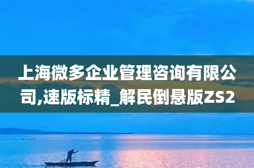 上海微多企业管理咨询有限公司,速版标精_解民倒悬版ZS2