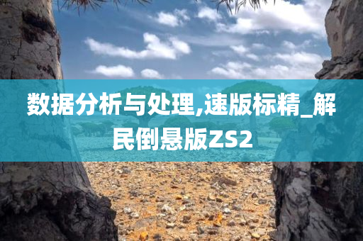 数据分析与处理,速版标精_解民倒悬版ZS2