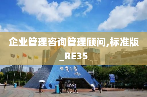 企业管理咨询管理顾问,标准版_RE35