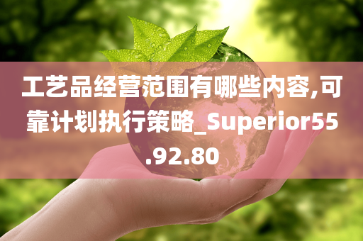 工艺品经营范围有哪些内容,可靠计划执行策略_Superior55.92.80