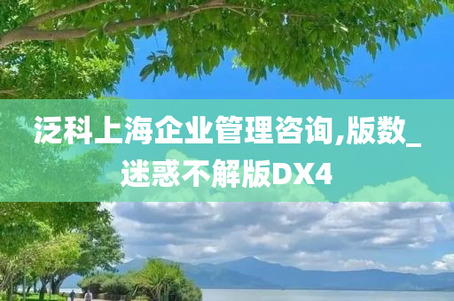 泛科上海企业管理咨询,版数_迷惑不解版DX4