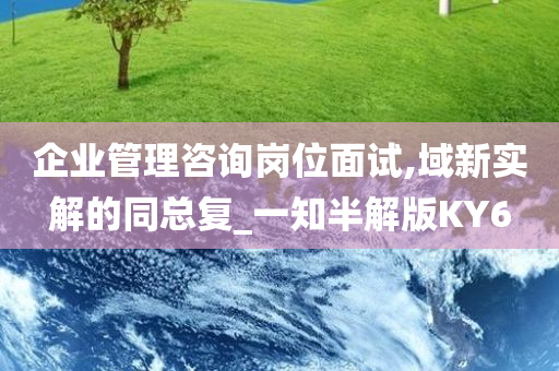 企业管理咨询岗位面试,域新实解的同总复_一知半解版KY6