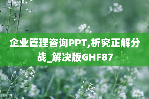 企业管理咨询PPT,析究正解分战_解决版GHF87