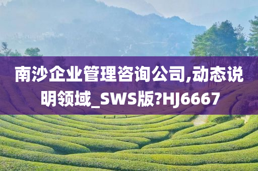 南沙企业管理咨询公司,动态说明领域_SWS版?HJ6667